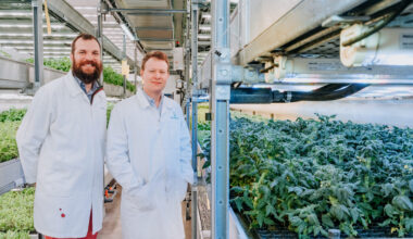 Phytoform & major seed breeders to improve corn genetics
