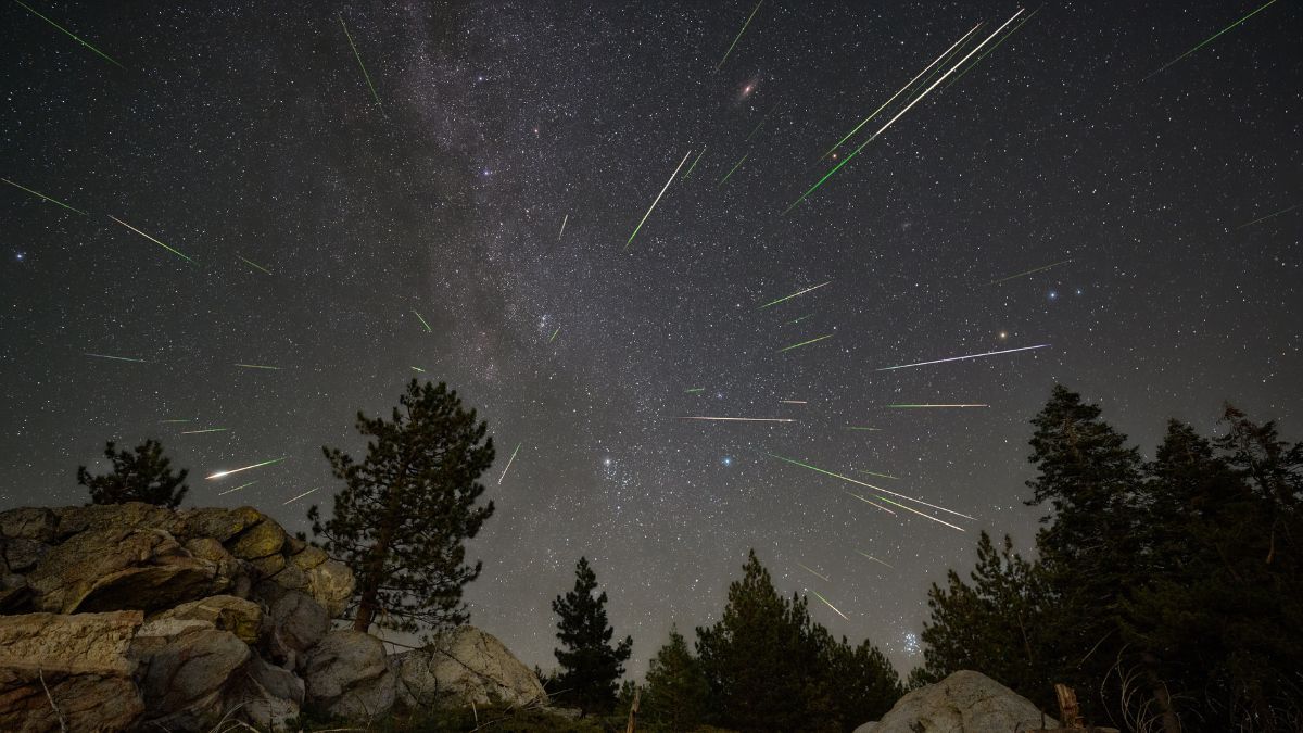 night sky scene with meteors streaking out from the center of the image, trees silhouetted below.