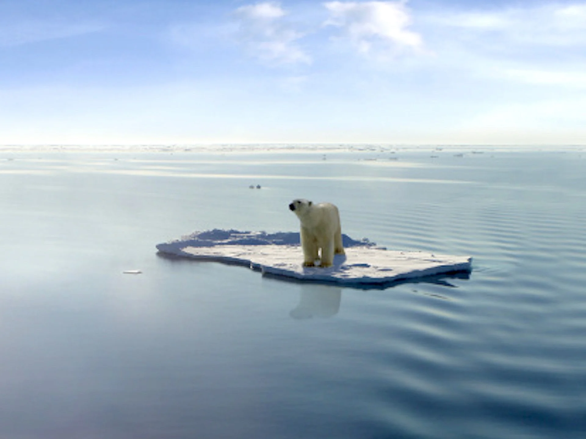 Polar bear/Arctic/Getty Images/Coldimages/135183496-170667a