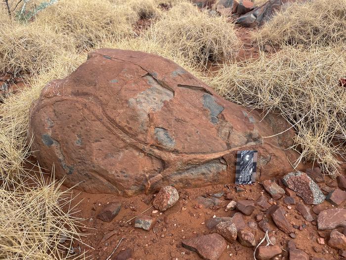 Ancient rocks reveal how water shaped Earth 3.1 billion years ago