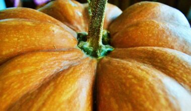 Pumpkin Peel Offers an Incredible New Way to Keep Food Fresh, Study Shows : ScienceAlert