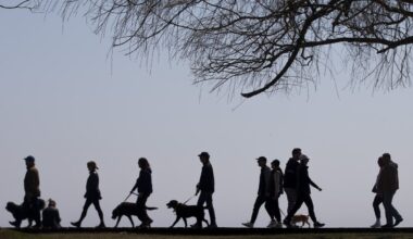 Who are Canada’s big city leavers? Mainly 25 to 44-year-olds, with young children