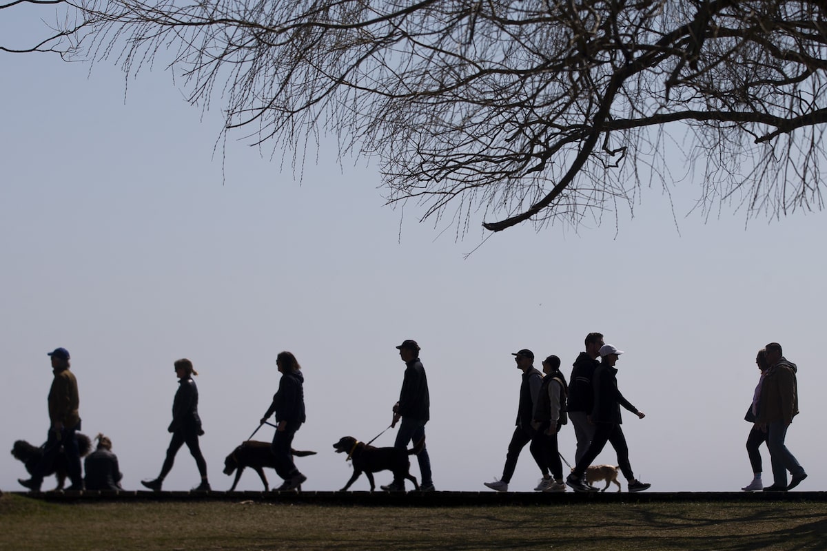 Who are Canada’s big city leavers? Mainly 25 to 44-year-olds, with young children