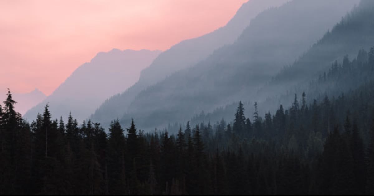 Smoke from U.S. wildfires affecting air quality in B.C. - CTV News