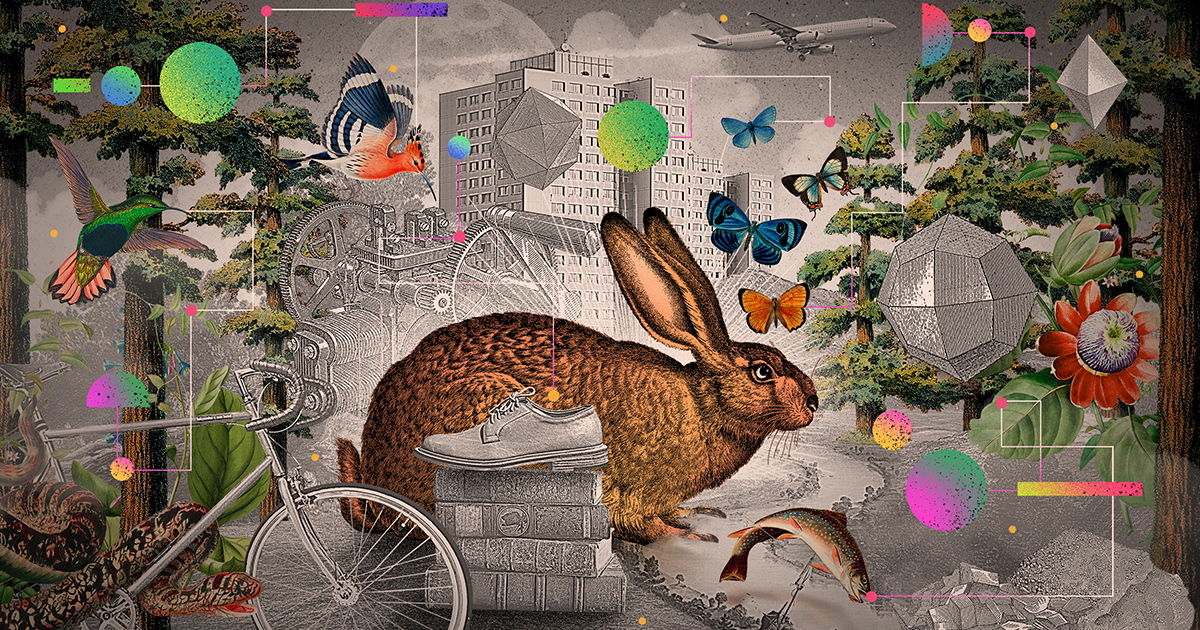 Is Life Just Different? | Quanta Magazine