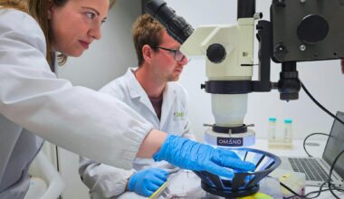 Spanish Researchers Show Photoswitchable Drug Candidates Restore Vision-Related Behaviors in Retinal Degeneration Models
