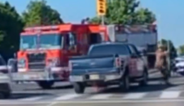Brampton driver caught on cam nearly hitting firefighter