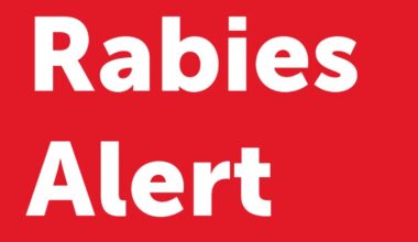 Rabies confirmed in bat in Trinity Bay area