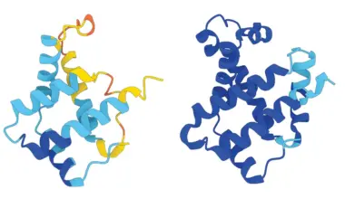 New AI-based program is a shrink ray for proteins