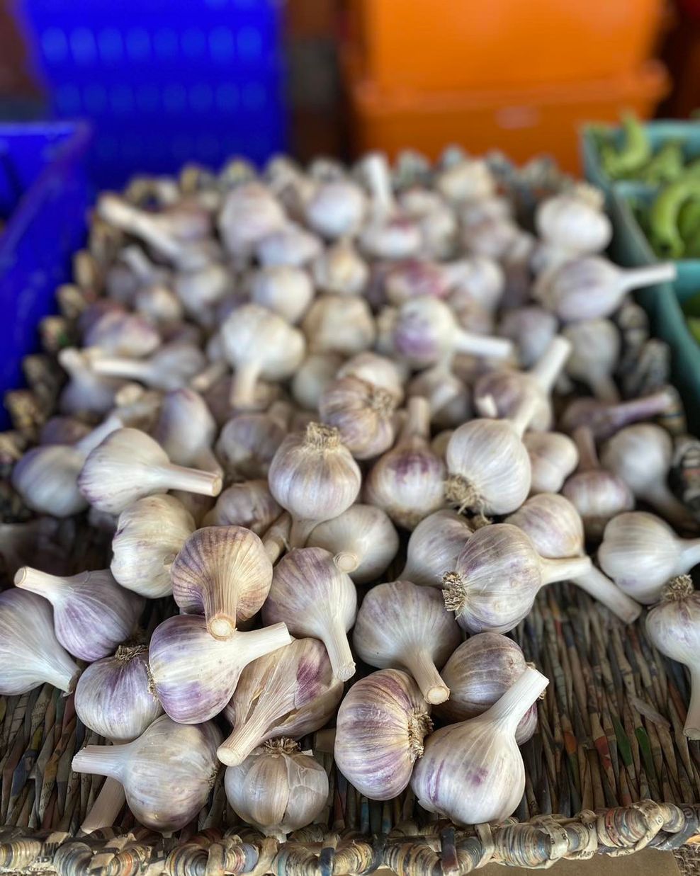 Richmond Garlic Festival