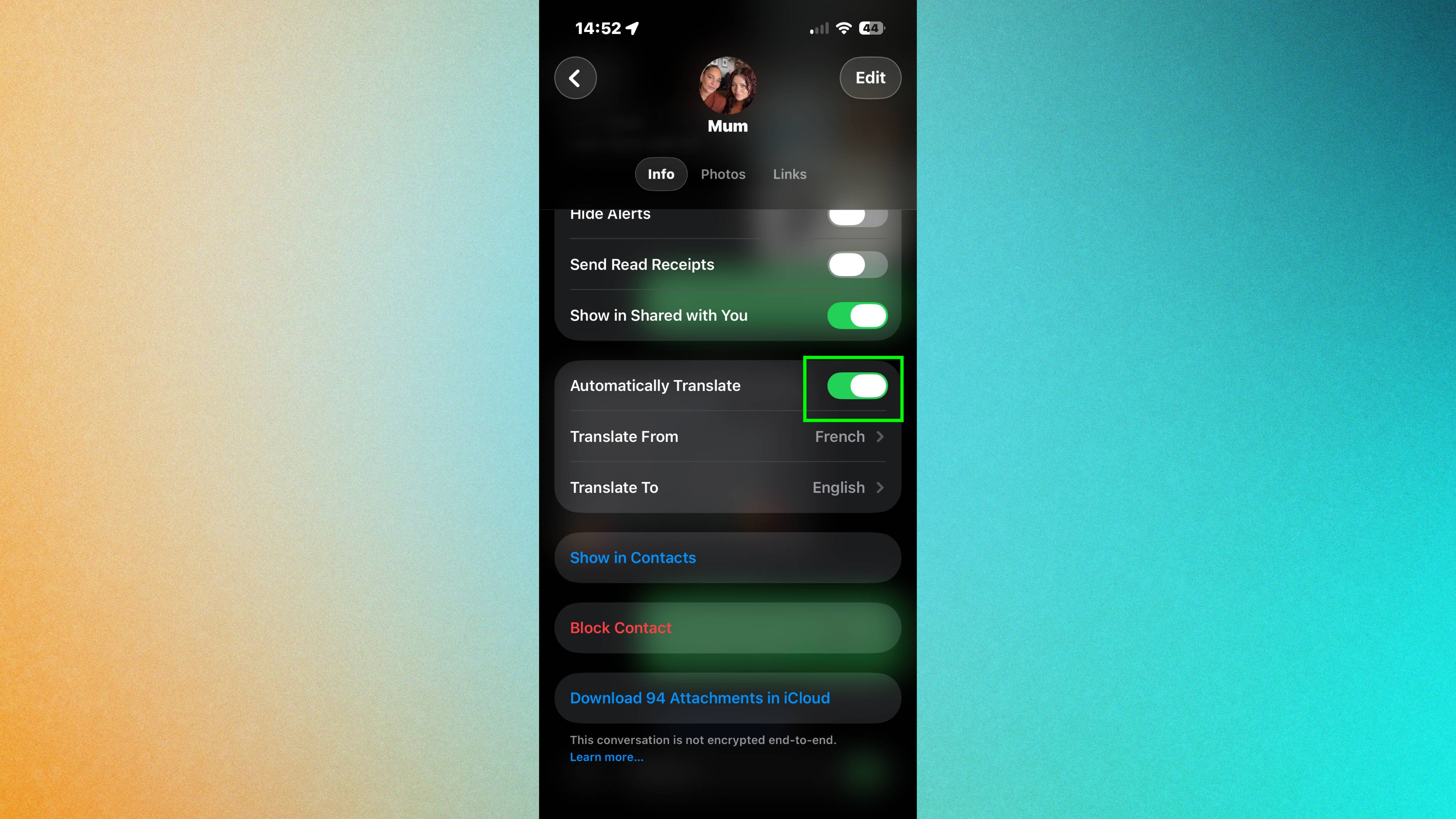 How to turn on automatically translate on iPhone