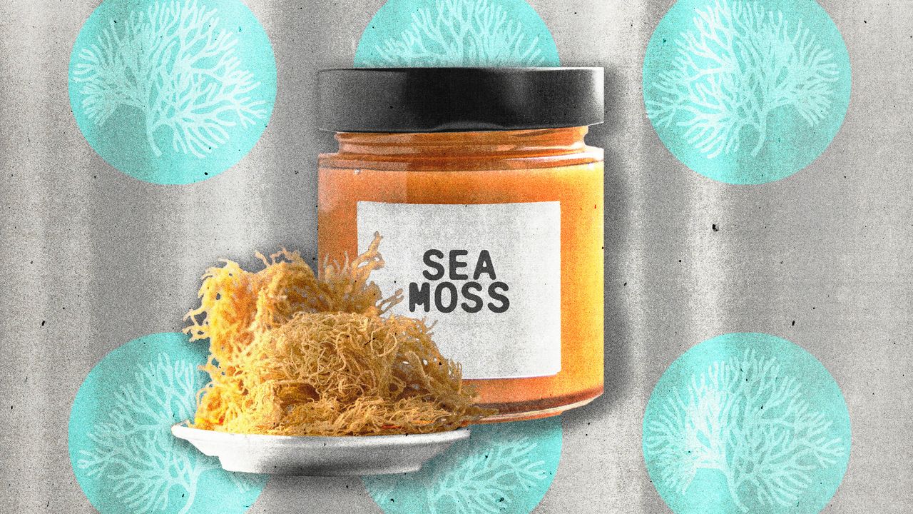 Is Sea Moss Worth the Hype? Here’s What Experts Think