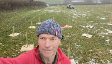 Why I used an £89,000 pension lump sum to buy five acres of woodland