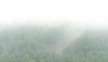 Canada’s forest industry plays a big part in the wildfire problem. Will it be part of the solution?