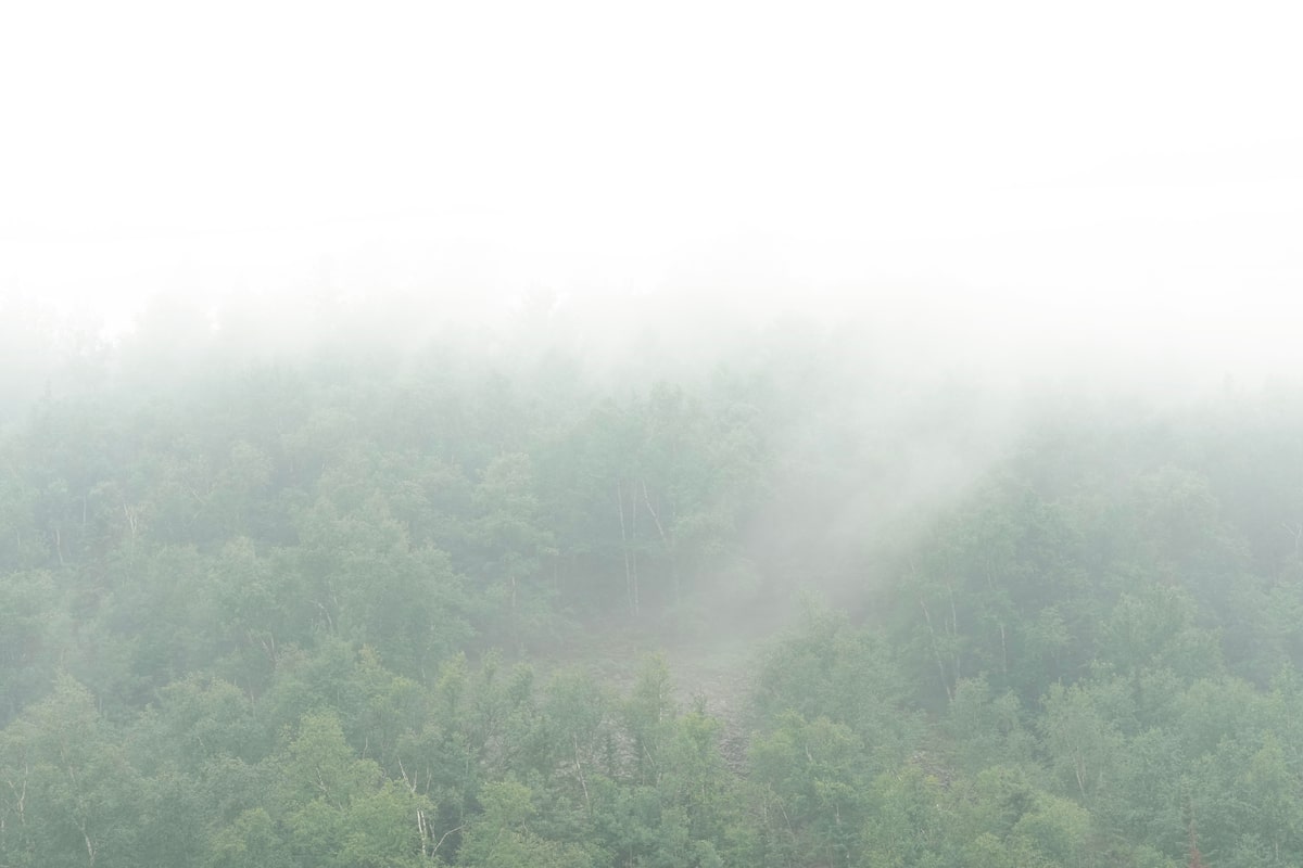 Canada’s forest industry plays a big part in the wildfire problem. Will it be part of the solution?