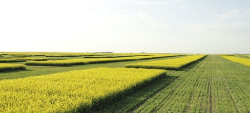 Saskatchewan, Ottawa sign MOU to keep Indian Head and Scott Research Farms operating - SteinbachOnline.com