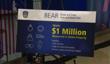 Mississauga man arrested after nearly $1M in stolen property recovered