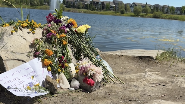 6-year-old girl dies after being pulled from SE Calgary pond