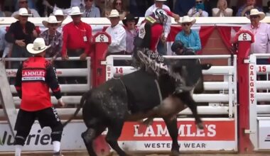 Grady Young bucked off on opening Calgary Stampede ride - SwiftCurrentOnline.com