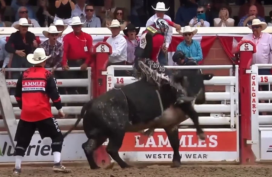 Grady Young bucked off on opening Calgary Stampede ride - SwiftCurrentOnline.com