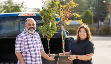 Surrey’s popular $20 tree sales return this summer