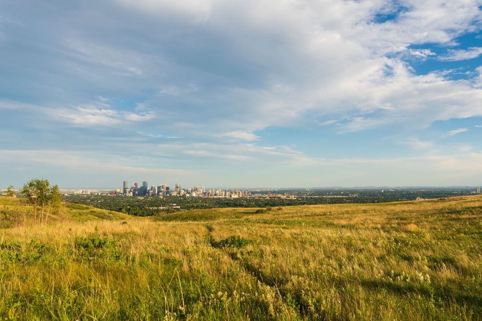 Nose hill park