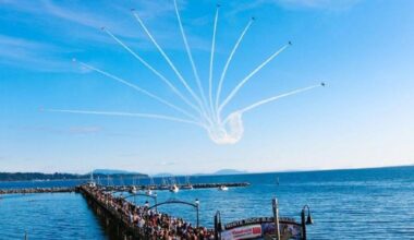 Look to the skies: the Snowbirds’ are returning to White Rock
