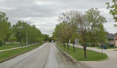 Winnipeg groups celebrate as mayor proposes to maintain urban forestry budget