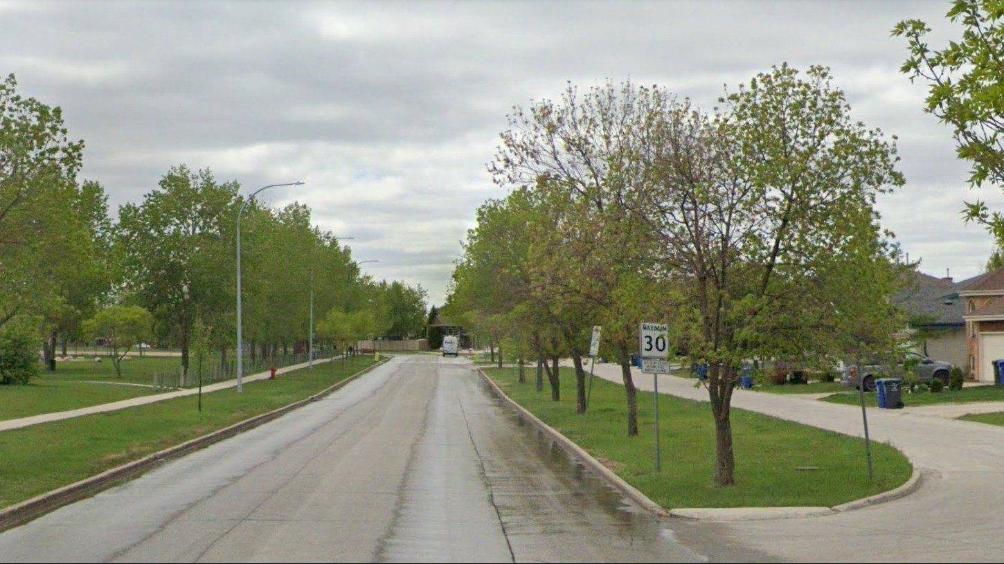 Winnipeg groups celebrate as mayor proposes to maintain urban forestry budget