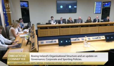 Boxing Ireland Rebuild Wins Oireachtas Committee Praise