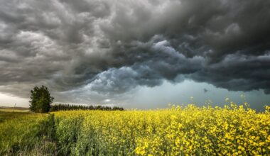 Strong storm system spawns tornado in Alberta