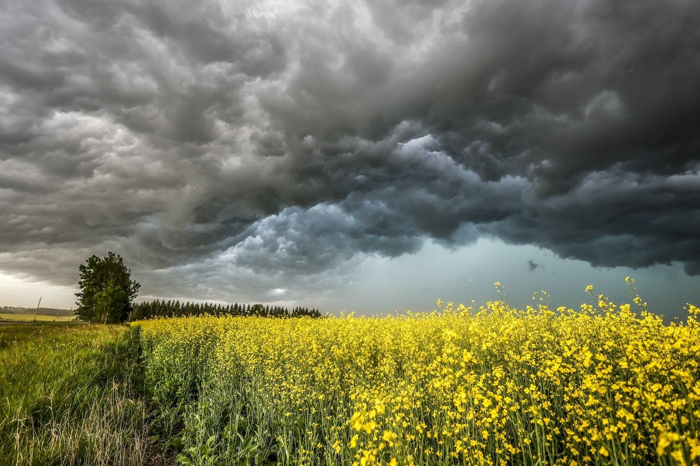 Strong storm system spawns tornado in Alberta