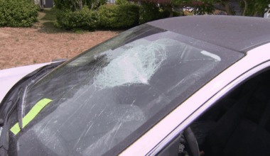 Surrey police investigating after 9 vehicles had windows smashed