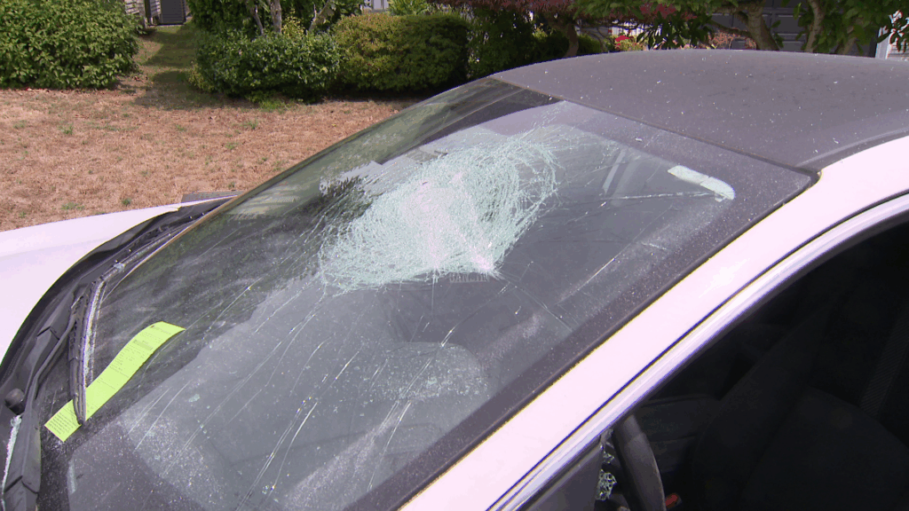 Surrey police investigating after 9 vehicles had windows smashed