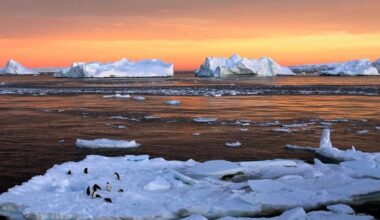 Climate change is slowly making our days longer, say scientists | story