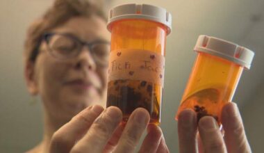 Lyme disease cases uptick in Manitoba - Winnipeg