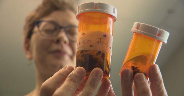 Lyme disease cases uptick in Manitoba - Winnipeg