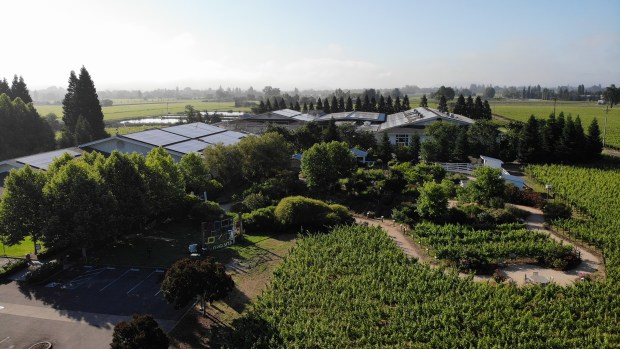 Napa Knockout will feature several rounds of boxing and MMA action in an outdoor ring alongside premium wines, food trucks and a silent auction at Raymond Vineyards in St. Helena on Saturday, July 25. The event is a fundraiser for the California State Athletic Commission Fighter Pension Fund. (Boisset Collection)