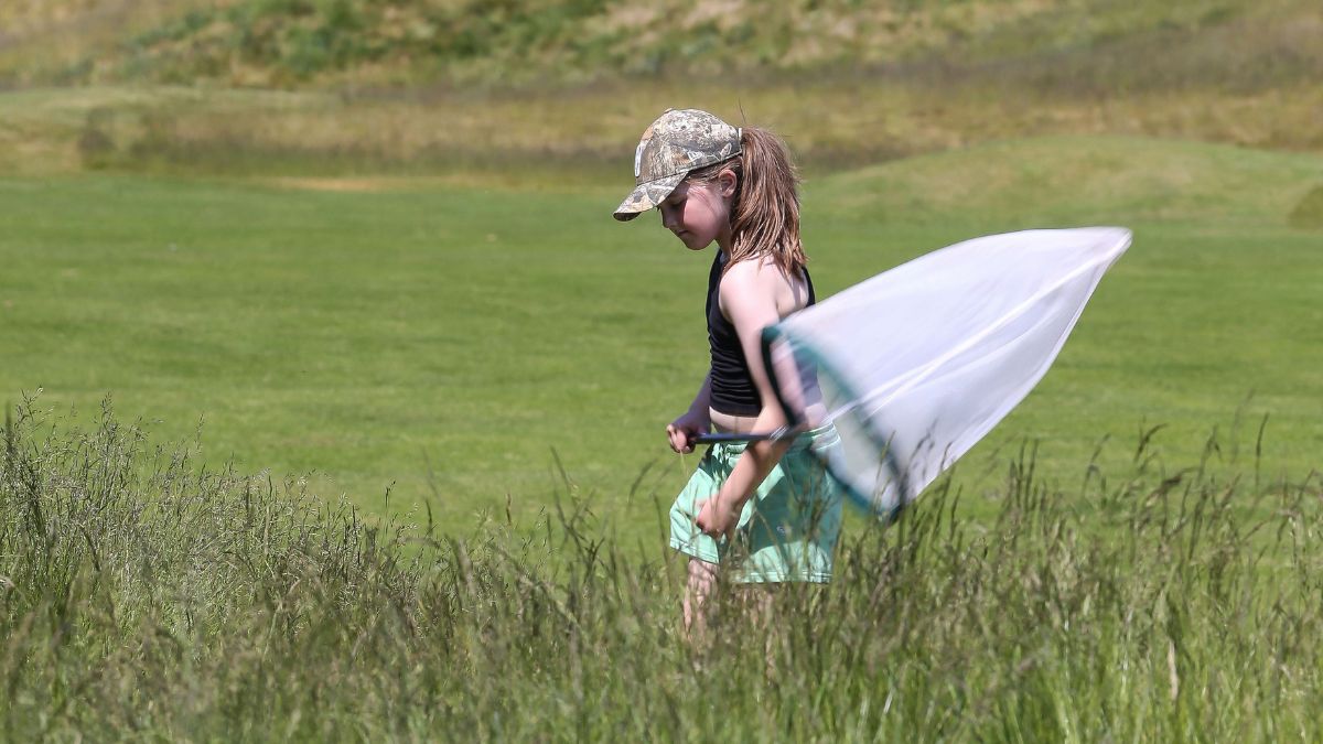 The R&A Launches BioBlitz Toolkit to Assist Golf Clubs in Supporting Biodiversity