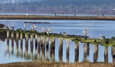 Boots made for walking? 5 trails to explore in South Surrey/White Rock