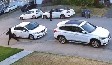 Surrey Police seek help identifying suspects in car vandalism spree