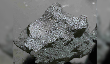 Meteorite that crashed through New Jersey house could hold the clues to life's origins