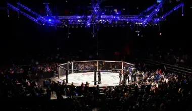 UFC Bantamweight Farid Basharat