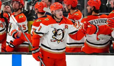 ‘I really wanted them to match’: Ducks’ Leo Carlsson on offer sheet