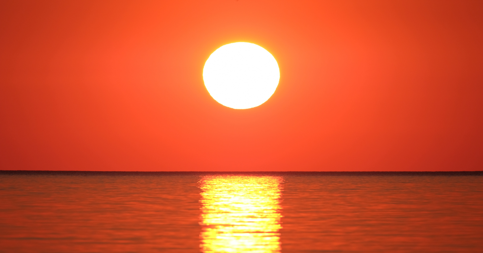 Most people think the Sun is a vast ball of burning gas, but that familiar picture is quietly wrong: the Sun is plasma, a fourth state of matter — atoms torn into charged particles, the same stuff as lightning and neon