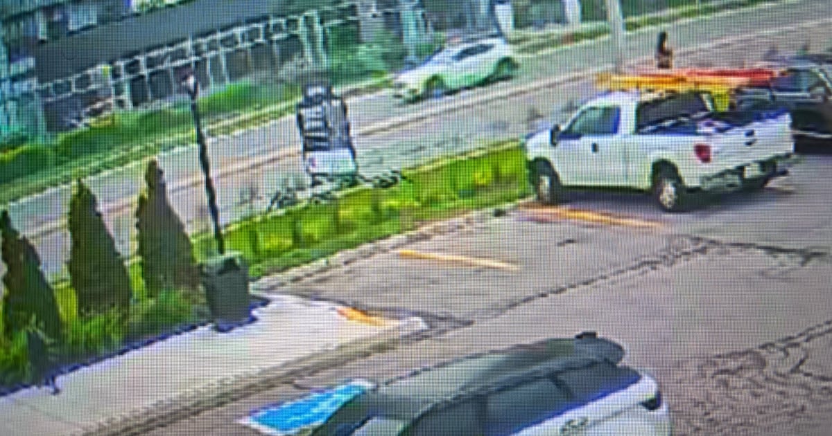 Fatal Mississauga hit-and-run: police share suspect vehiclephoto