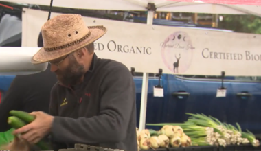 Vancouver's farmers markets looking for support