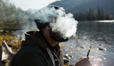 There's a Scientific Reason Regular Cannabis Users Wake Up More Stressed : ScienceAlert