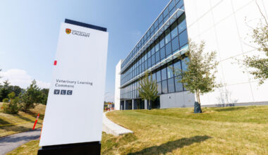 University of Calgary expands Johne's disease testing with new in-house PCR service