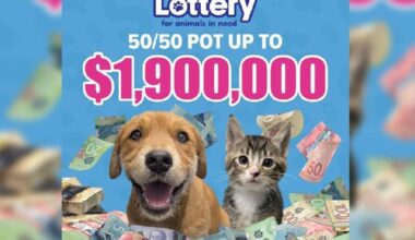 $1.9 million lottery launched by BC SPCA